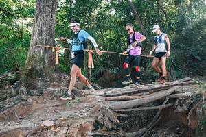 BIB: 
                            <button type="button" onclick="openModal(27305214)" class="btn btn-primary btn-sm float-right btn-popup" data-toggle="modal" data-target=".modal-high-quality">
                        <i class="fas fa-shopping-cart"></i> Add to Cart
                    </button>
                                            <button type="button" onclick="isThisMe(27305214, true)" class="btn btn-success btn-sm float-right btn-popup btn-isme hidden" data-toggle="tooltip" data-placement="bottom" title="นี่คือรูปของคุณใช่ไหม คลิกที่นี่เพื่อเอาเข้าอัลบั้ม">
                        <i class="fas fa-plus"></i> Add to album
                    </button>
                    <button type="button" onclick="isThisMe(27305214, false)" class="btn btn-warning btn-sm float-right btn-popup btn-isnotme hidden">
                        <i class="fas fa-ban"></i> Remove from album
                    </button>